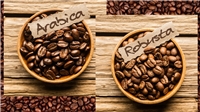 تفاوت قهوه عربیکا و روبوستا